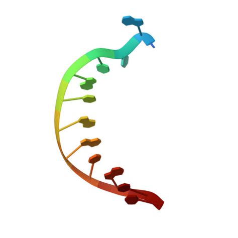 Rcsb Pdb Dqh Crystal Structure Of Human Dna Polymerase Eta