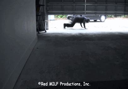 Classic Fuck Me Once Fuck Me Twice Part HD Rachel Steele Bound And Gagged Clips Sale