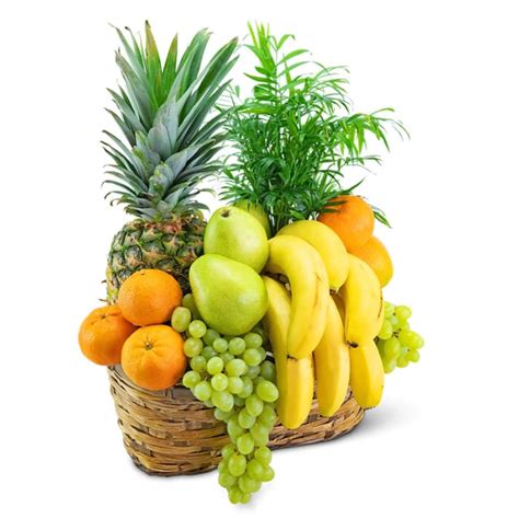 Green Goodness Fruit And Plant Basket Flower Delivery Ottawa Il Blythe