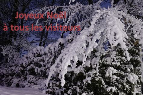 Patrick Blouin Photographe Amateur Joyeux No L