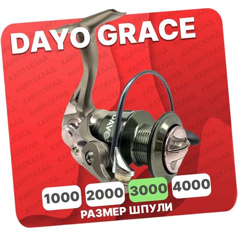 Катушка Dayo Grace_серый металлик_серебристый, Безынерционная, 3000 ...