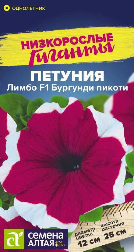 Петуния, фриллитуния, калибрахоа