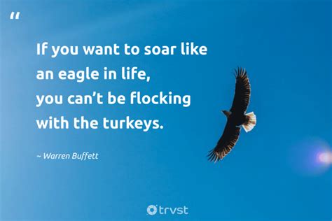 Eagle Quotes That Can Help You Conquer The Sky