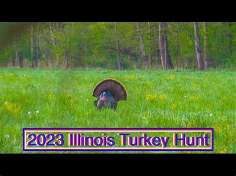 2023 4th Season Illinois Turkey Hunting Gobbler Puts On A Show