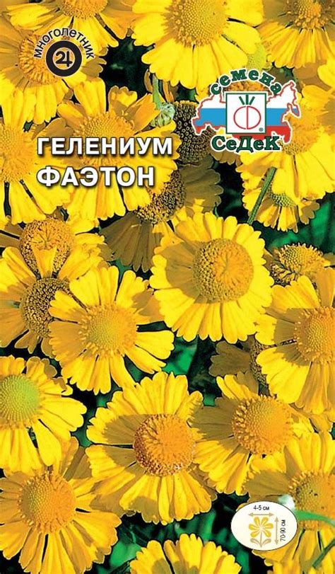 Семена: Цветок Гелениум Фаэтон - интернет-магазин СеДеК