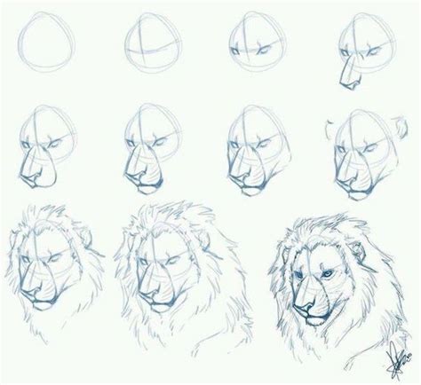 how to draw realistic animals step by step