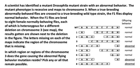 Solved A scientist has identified a mutant Drosophila m | Chegg.com