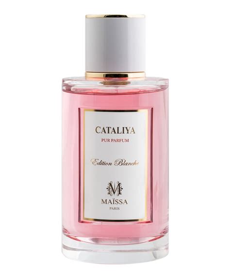 Maison Maissa Parfum Cataliya Blanche Edp Elixir 100ml בושם מייסון מיי ...