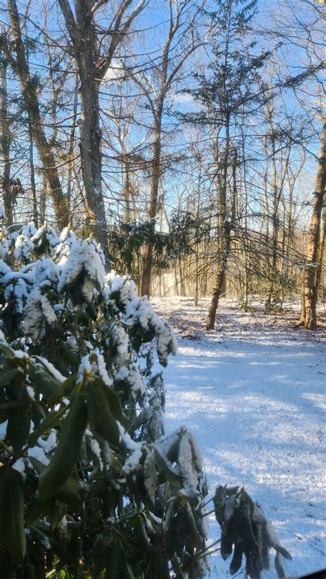 Snow in Waterbury : r/Connecticut