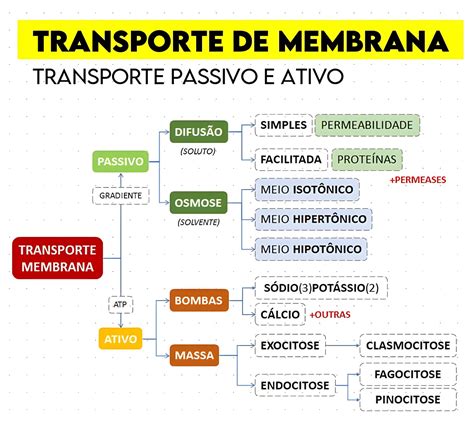 Membrana Plasmatica E Transporte - 10