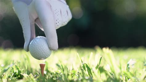 hand putting golf ball  stock footage video  royalty