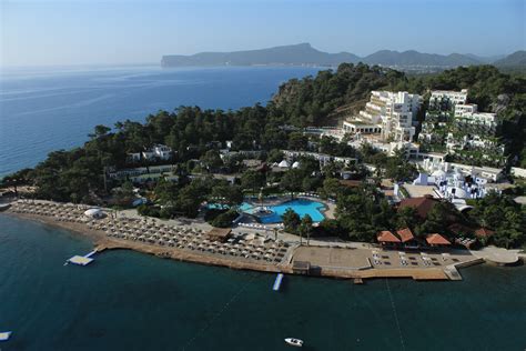 Клуб фазелис - 92 фото