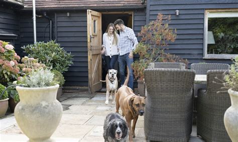 buy  house  bad credit nerdwallet