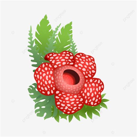 92 Wallpaper Bunga Raflesia Arnoldi Images Myweb