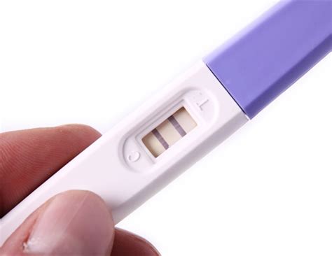 Study Sheds Light On Unique Processes That Bestow Naked Mole Rats With Eternal Fertility