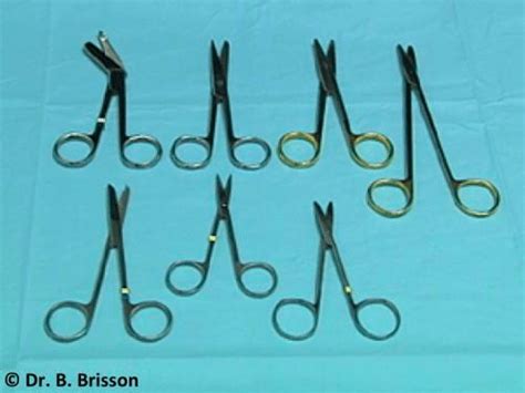 Scissors – Veterinary Surgery Online