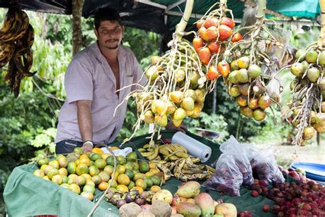 The delicious fruit of Costa Rica: know your anona from your zapote ...