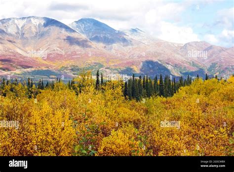 Alaska Fall Colors Stock Photo Alamy