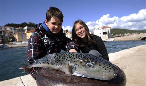 Djeca Na La Jednu Od Najotrovnijih Riba Na Svijetu Tportal