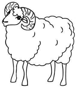 Carneiro Para Colorir - 25+ Desenhos de Carneiro para Imprimir e Colorir/Pintar