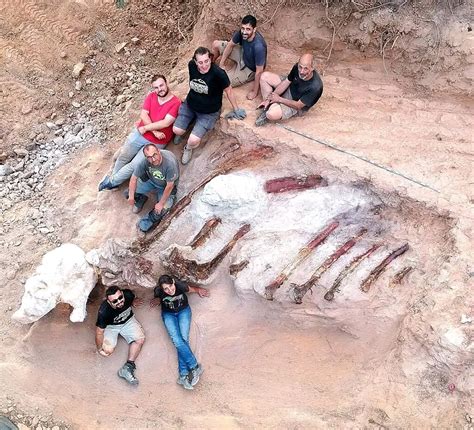 82-foot-long dinosaur skeleton found in man's backyard in Portugal
