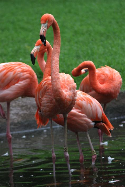Oklahoma Zoos & Aquariums | TravelOK.com - Oklahoma's Official Travel