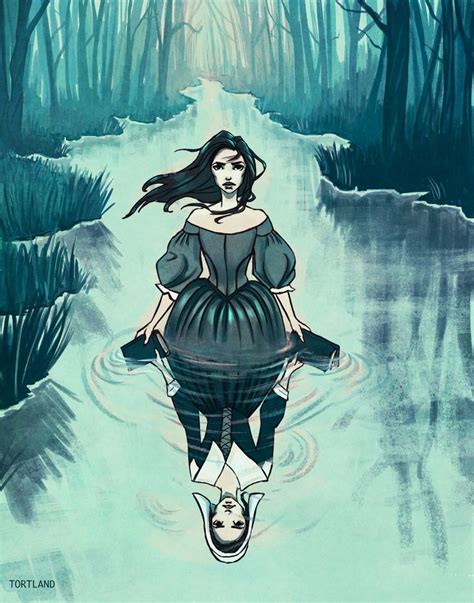 Witch Of Blackbird Pond Witch Of Blackbird Pond Black Bird Illustration