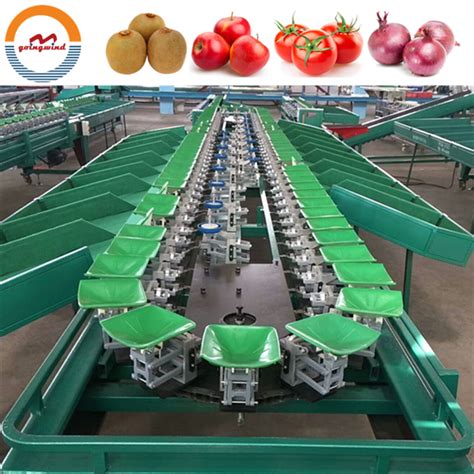 Automatic Fruit And Vegetable Weight Sorting Grading Machine Apple