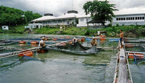 Binangonan Freshwater Station Seafdecaqd