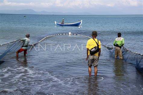 Tangkapan Pukat Darat Menurun Antara Foto