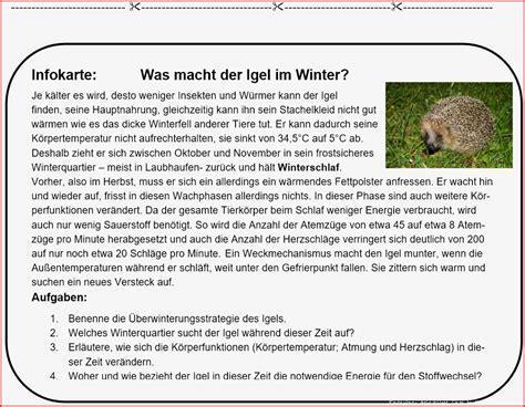 Kostenloses Arbeitsblatt Tiere Im Winter Grundschule Designs Nur F R