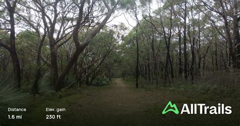 Forest Circuit Walk Stringybark Campsite Deep Creek South Australia