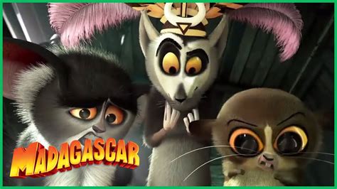 DreamWorks Madagascar em Português Lêmure Compilação Desenhos