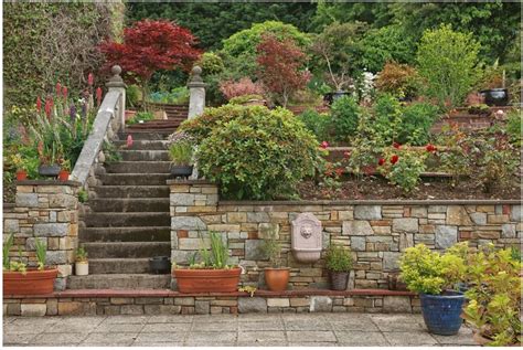 Landscape Ideas For Steep Backyard Hills General Landscaping