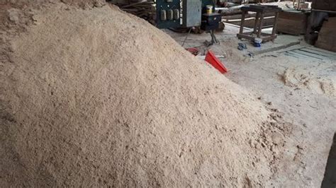 100 Natural Saw Dust At Best Price In Perinthalmanna Able Timber Depot