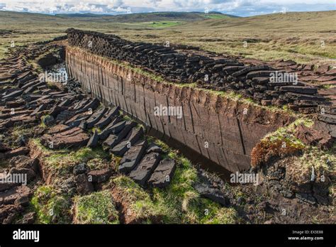 Cut peat on a peat bog, Yell, Shetland Islands, Scotland, United Stock ...
