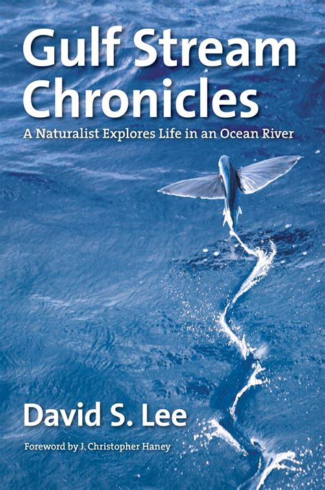 Review of Gulf Stream Chronicles (9781469623931) — Foreword Reviews