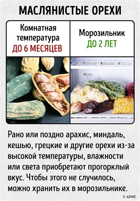 Тайны хранения: как надолго сохранить современные продукты / Как сэкономить