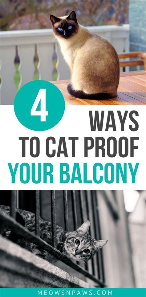 How To Cat Proof A Balcony 4 Solutions To Consider Meows N Paws