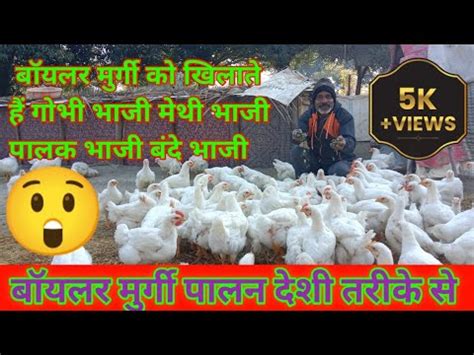 Poultry Farm Boiler Murgi Palan Desi Tarike Se Kaise Kare Kam Budget