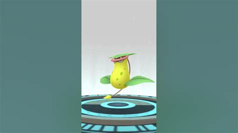 Weepinbell Evolves Into Victrebell Weepinbell Evolution Pokemon Go