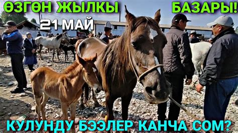 БЭЭ БАЙТАЛ ТАЙ БААЛАРЫ 🤯 #байтв - YouTube