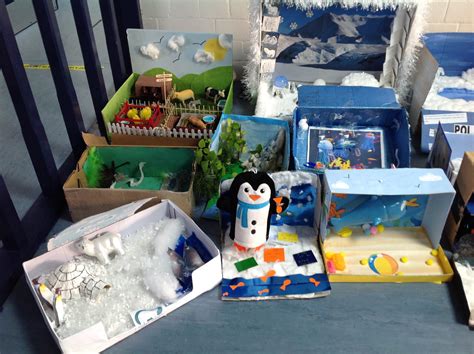 Penguin Habitat Shoebox Project