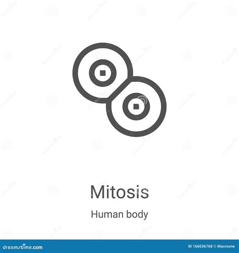 Mitosis Icon Vector From Human Body Collection Thin Line Mitosis