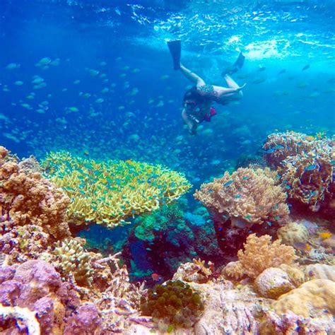 7 Snorkelling Spots That Showcase Balis Spectacular Underwater World