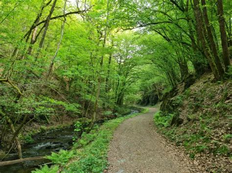 Best Hikes And Trails In Naturpark Our Alltrails