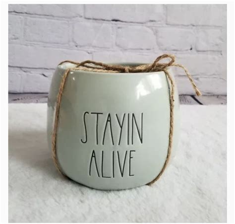 Pin Oleh Lisa Giles Di Rae Dunn Planters