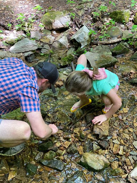 West Meade Waterfall | The Nashville Mom