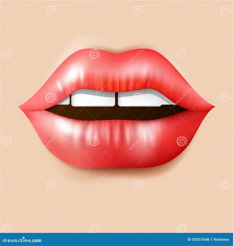 Realistic Red Lips Stock Vector Illustration Of Attractive 50357648