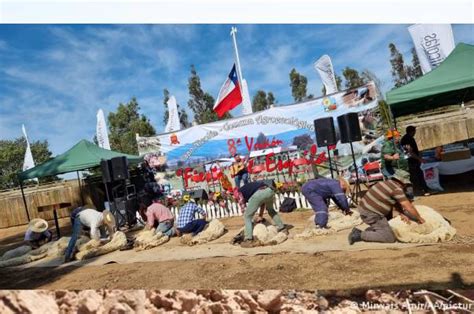 Puyamávida se prepara para la Fiesta de la Esquila este sábado en San